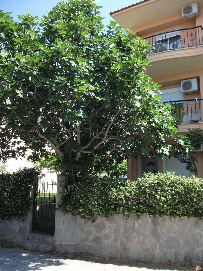 Ferienwohnung Fani House Kallithea  Exterior foto